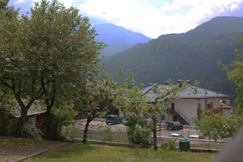 Alps From Anna's Backyard